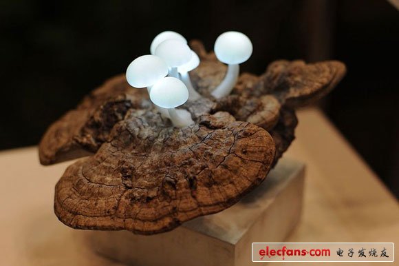 個(gè)性家電之創(chuàng)意燈飾 三聯(lián)教程