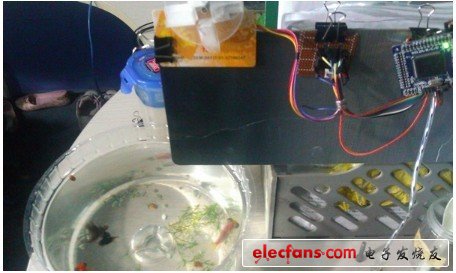 極致創(chuàng)意！DIY自動喂魚裝置（附代碼）