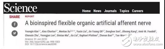 人造感覺神經(jīng)：以類似于生物神經(jīng)的方式發(fā)揮作用，實(shí)現(xiàn)“機(jī)器觸覺”的一大進(jìn)步